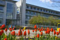 Open University