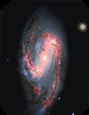 Galaxy M66.